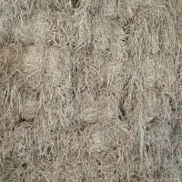 کلوش پرس دستگاه تازه