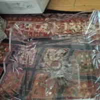 میوه خوری و شکلات خوری سوگا ژاپن