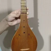 سه تار مرتضی، حرفه ای مناسب ضبط و اجرا