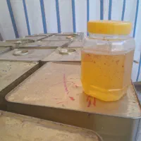 عسل تغذیه