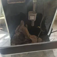اکواریوم شرکتی با وسایل