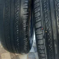 لاستیک دسته دو