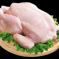 مرغ گرم