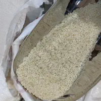 سرلاشه شمالی - فجر گرگان - کاملا یکدست