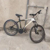 دوچرخه ویوا