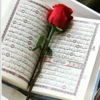 کتاب،سرکتاب