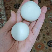 سنگ آسیاب بی ارزش