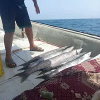 سلام ناخدا یا جاشو هستم برای صیادی