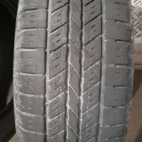 لاستیک هایما