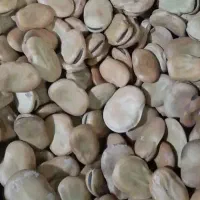 باقالی بهشهر