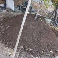 کود حیوانی کود گوسفندی وگاوی