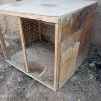 لانه کبوترمرغ سگ و غیره