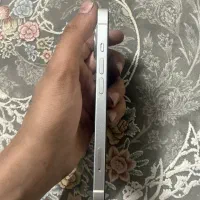 iPhone 13 normal|موبایل|قم, هنرستان|دیوار