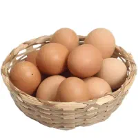 تخم مرغ محلی تازه