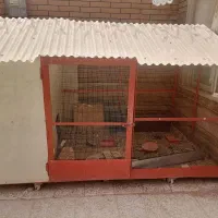 یک قفس حیوانات اهنی با تخفیف فراوان