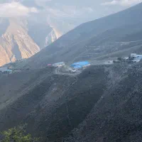 استخدام نیروی کاری اقا ۴ نفر در شرکت قارچ برادران