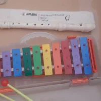فلوت و بلز