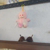 جفت مینا
