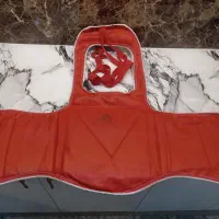هوگو ووشو