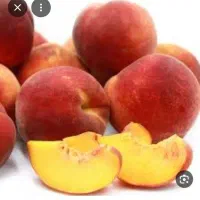 فروش میوه باغ سردرختی