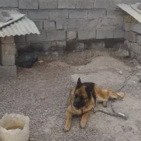 فروش