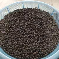 بزر نیلوفر آبی گل و گیاه