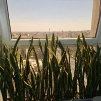 نیروی تلفنی وپرسشگری