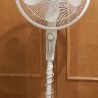 پنکه