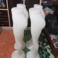 مانکن پاوشاخک رگال