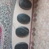 باند پیونور با تخته سالم سالم