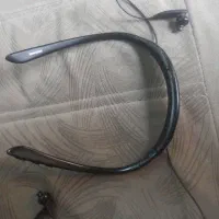 همسفری گردنی