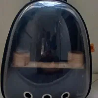 کوله پشتی و قفس پرنده