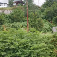فروش-زمین-ویلایی-مسکونی-در-روستای-کانرود