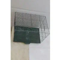 نرده بان پرنده ، تاب ، قفس