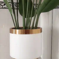 گلدان