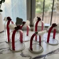 بانکه شیشه ای