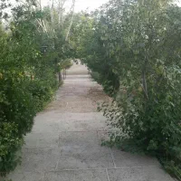 باغ ویلا چهاردیواری ۳۳۰ مترکوشک زازران درخت،برق،آب