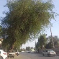 ملک-180متری-وسط-بازار