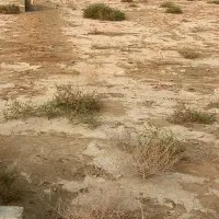 زمین پشت بند دره سند تک برگ