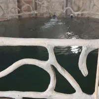 باغ باصفاجوزدان