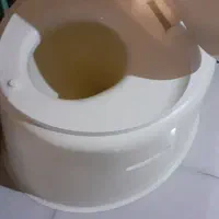 توالت فرنگی سیار