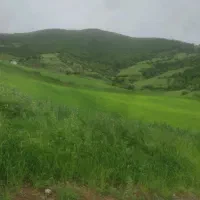 هم سفر به کلیبر