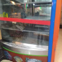 یخچال ایستاده فروشگاهی