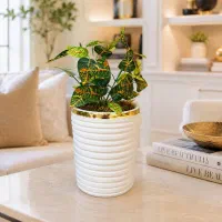 گل رومیزی اقتصادی برای هدیه و دکور(مصنوعی)
