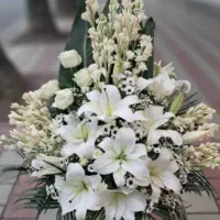 مداحی زنانه