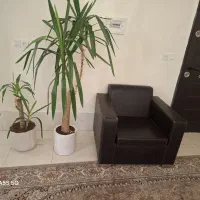 اجاره خونه مبله  شهرک گلستان