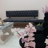 آموزش فیشیال تخصصی
