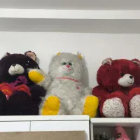 خرس بزرگ سه تا