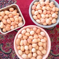 تخم مرغ محلی