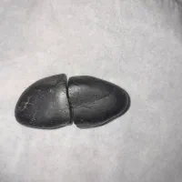 شهاب سنگ واقعی